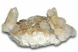 Sparkling Cactus Quartz Crystal Cluster - South Africa #303474-1